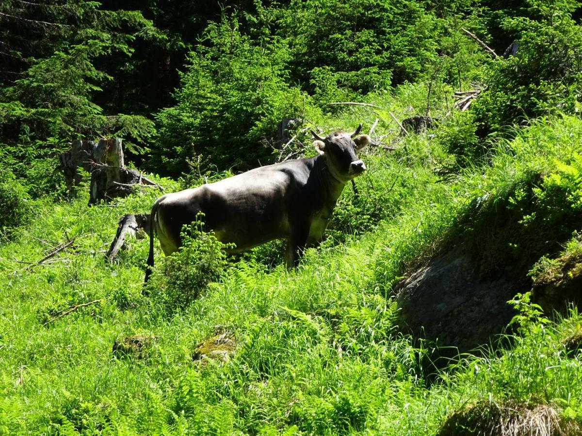 Chalet Stubai Fulpmes Zewnętrze zdjęcie